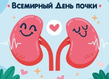 12 марта – Всемирный день почки 12 марта – Всемирный день почки